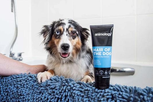Hair of the Dog Anti-Tangle Dog Shampoo 250ml