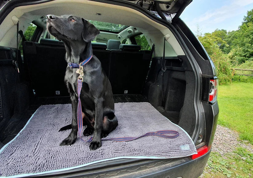 Kennels, Crates & Travel