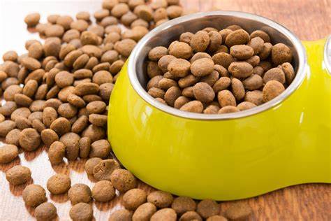 Dry Dog Food